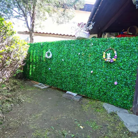Guest house Perla Bachkovo