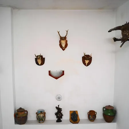 Perla Guest house Bachkovo