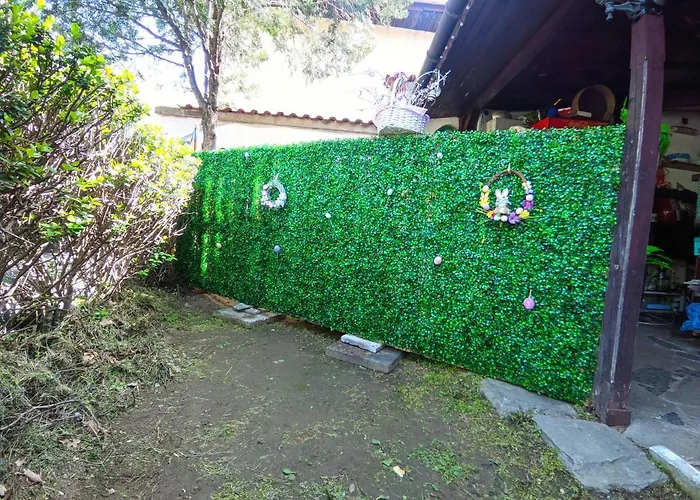 Guest house Perla Bachkovo